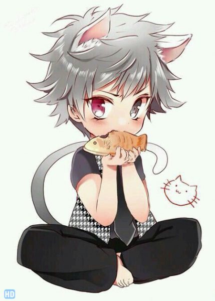 Hình anime chibi boy mèo dễ thương