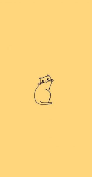 Hình nền con mèo dễ thương nền vàng