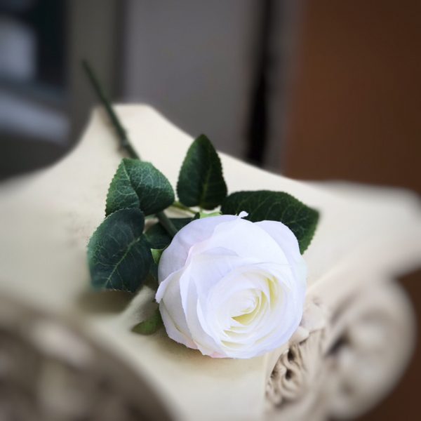 hình buồn đám tang hoa hồng trắng