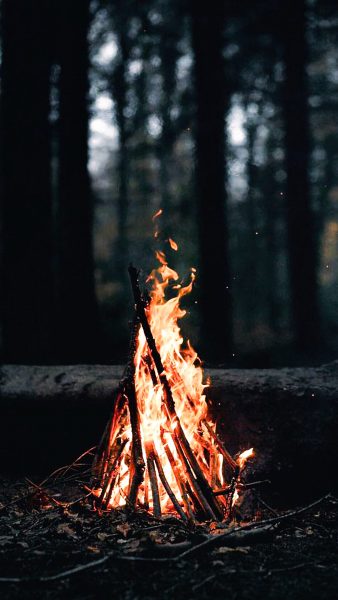 hình nền ngọn lửa trong rừng
