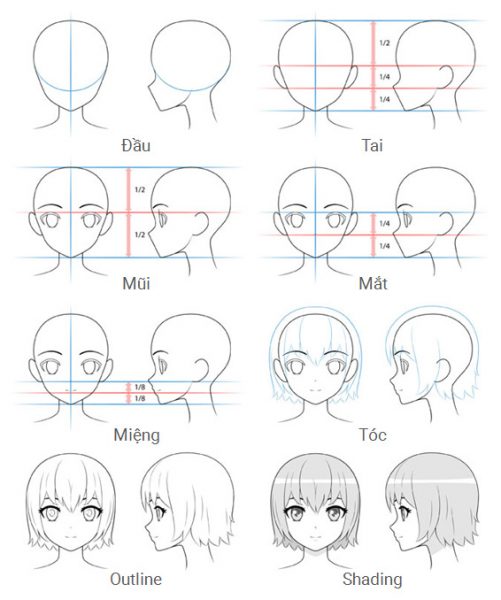 Cách vẽ anime phần đầu nhìn chính diện và góc nghiêng