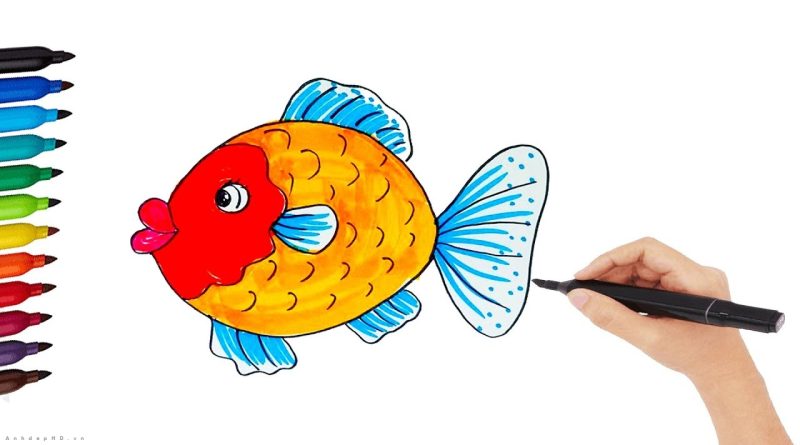 cách vẽ con cá, hình vẽ con cá
