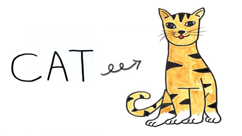 cách vẽ mèo bằng chữ cat
