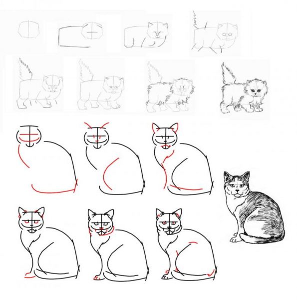 cách vẽ mèo đẹp đang ngồi và đứng