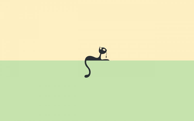 Hình ảnh nền đơn giản mèo đen